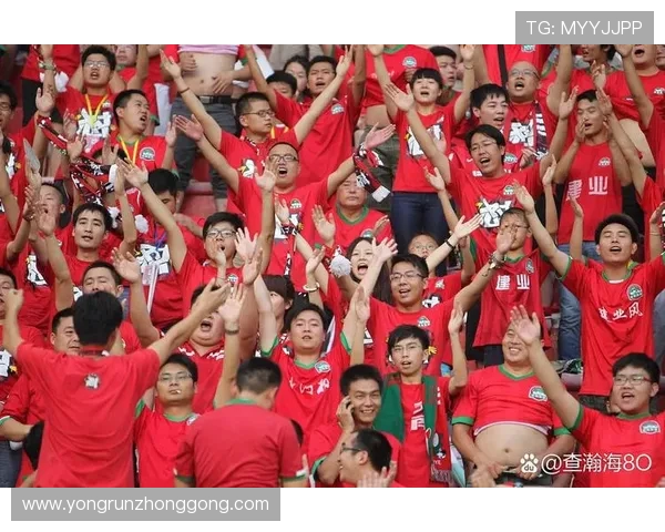 武汉队迎战重庆力帆期待精彩对决球迷热情高涨助力主场胜利 武汉队迎战重庆力帆期待精彩对决球迷热情高涨助力主场胜利