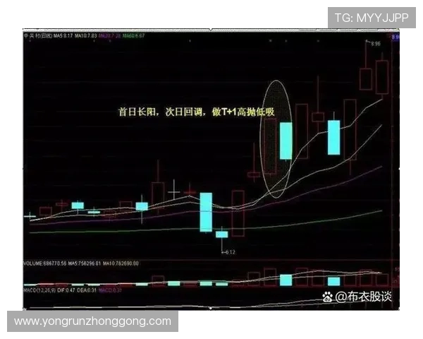 成都排球队中路突破战略解析与战术创新探讨