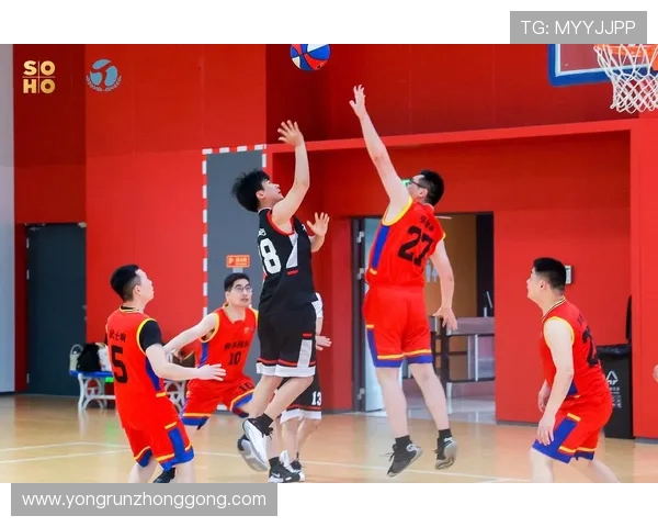 李磊的篮球人生深度对话探索他的梦想与坚持之路