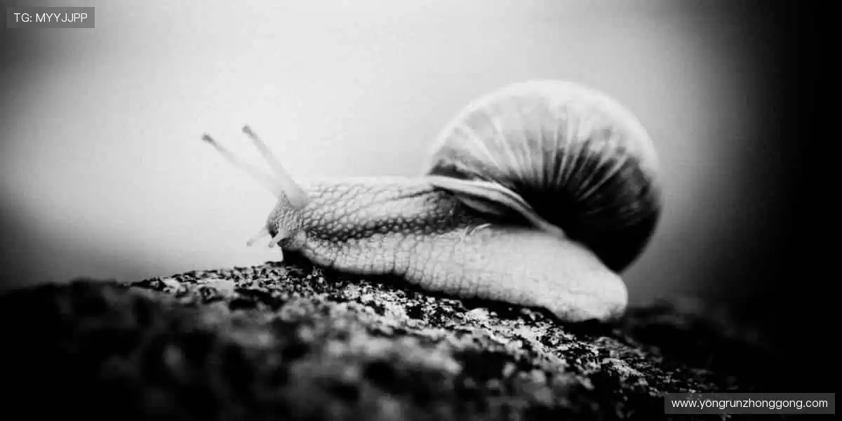 穿上队魂,书写历史!👕⚽️